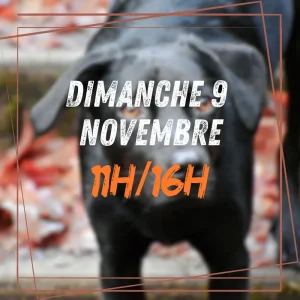 11~ Dimanche 9 Novembre 11h/16h