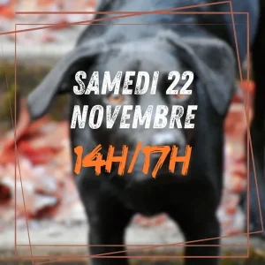 11~ Samedi 22 Novembre 14h/17h