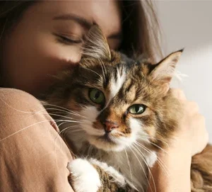 8 raisons pour lesquelles un animal de compagnie vaut mieux qu'un partenaire