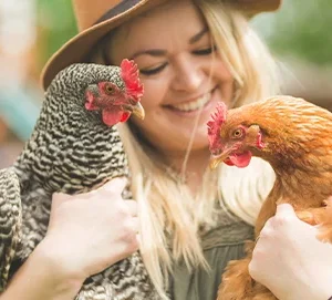 À l’aide ! Ma poule s’ennuie