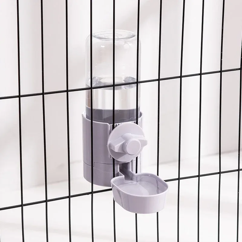 Abreuvoir Eau Lapin : Violet