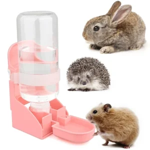 Abreuvoir Lapin – Simple & Solide