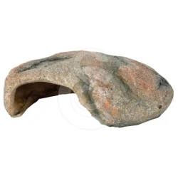 Abri pour reptile