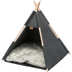 Abri Tipi