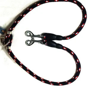 Accouple promenade chiens Malo fr