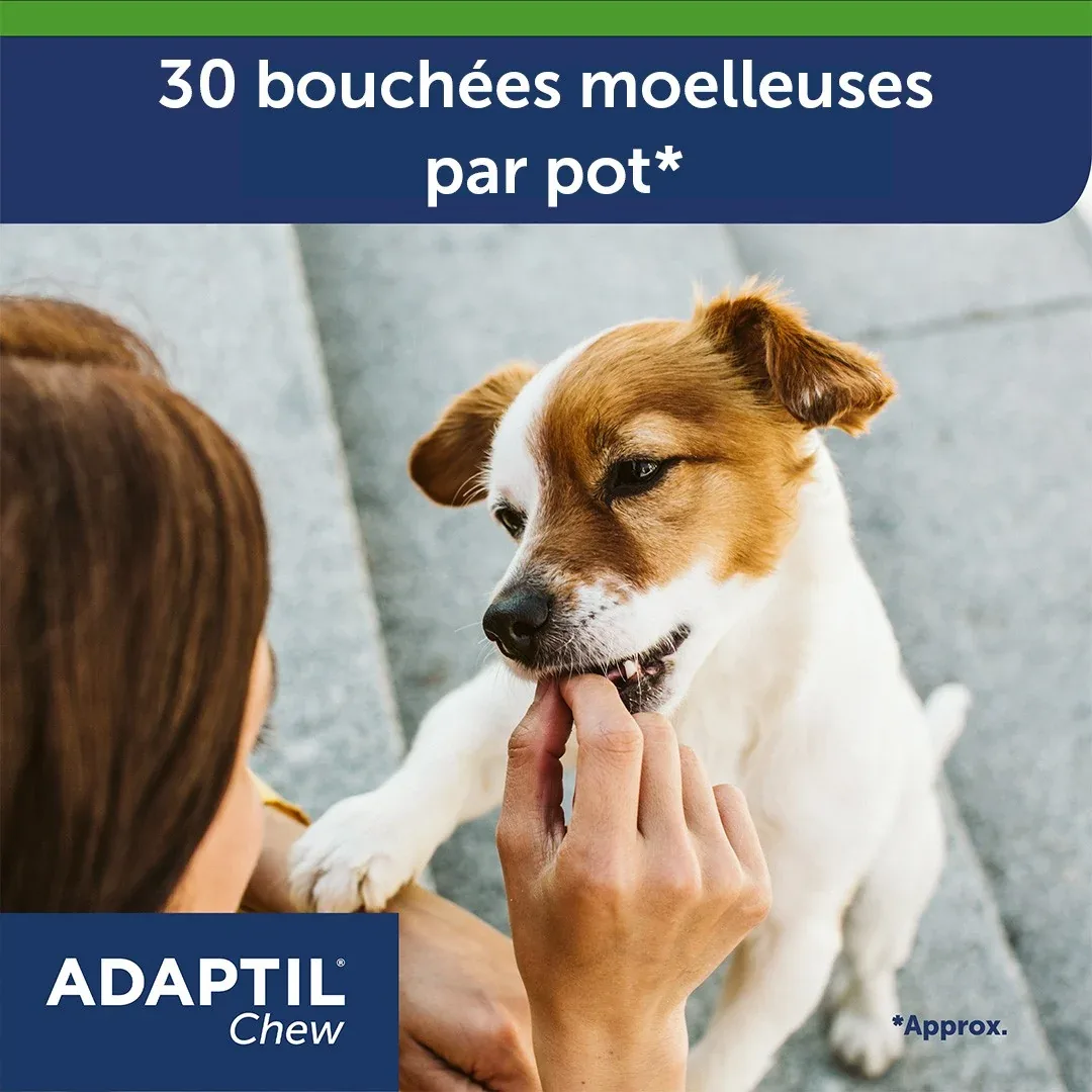 Adaptil® Chew chien - Image 2