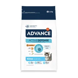 Advance Active Defense Chat Kitten Poulet