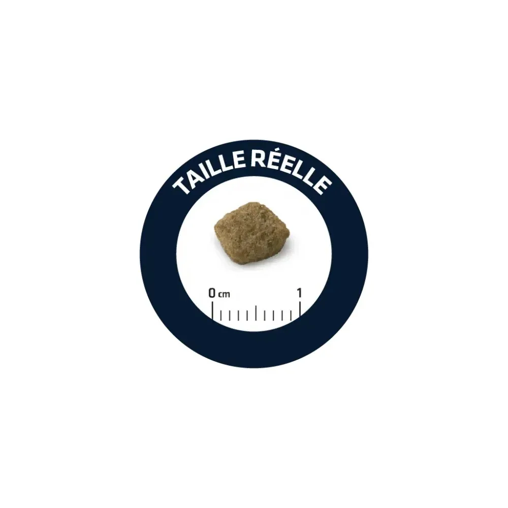 Advance Croquettes Chien Senior Mini 3kg - Image 2