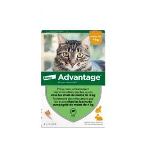 Advantage 40 Chat/Lapin