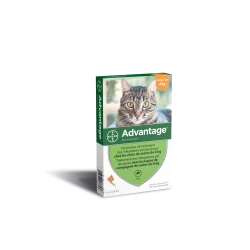 Advantage 40 Chat/Lapin de moins de 4 kg