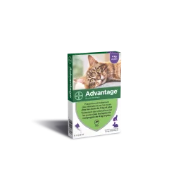 Advantage 80 Chat/Lapin de plus de 4 kg