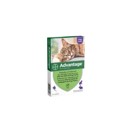 Advantage 80 Chat/Lapin de plus de 4 kg