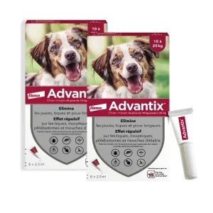 Advantix 10-25 kg – chien moyen
