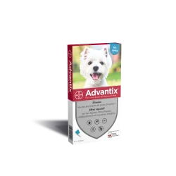 Advantix Petit Chien de 4 à 10 kg