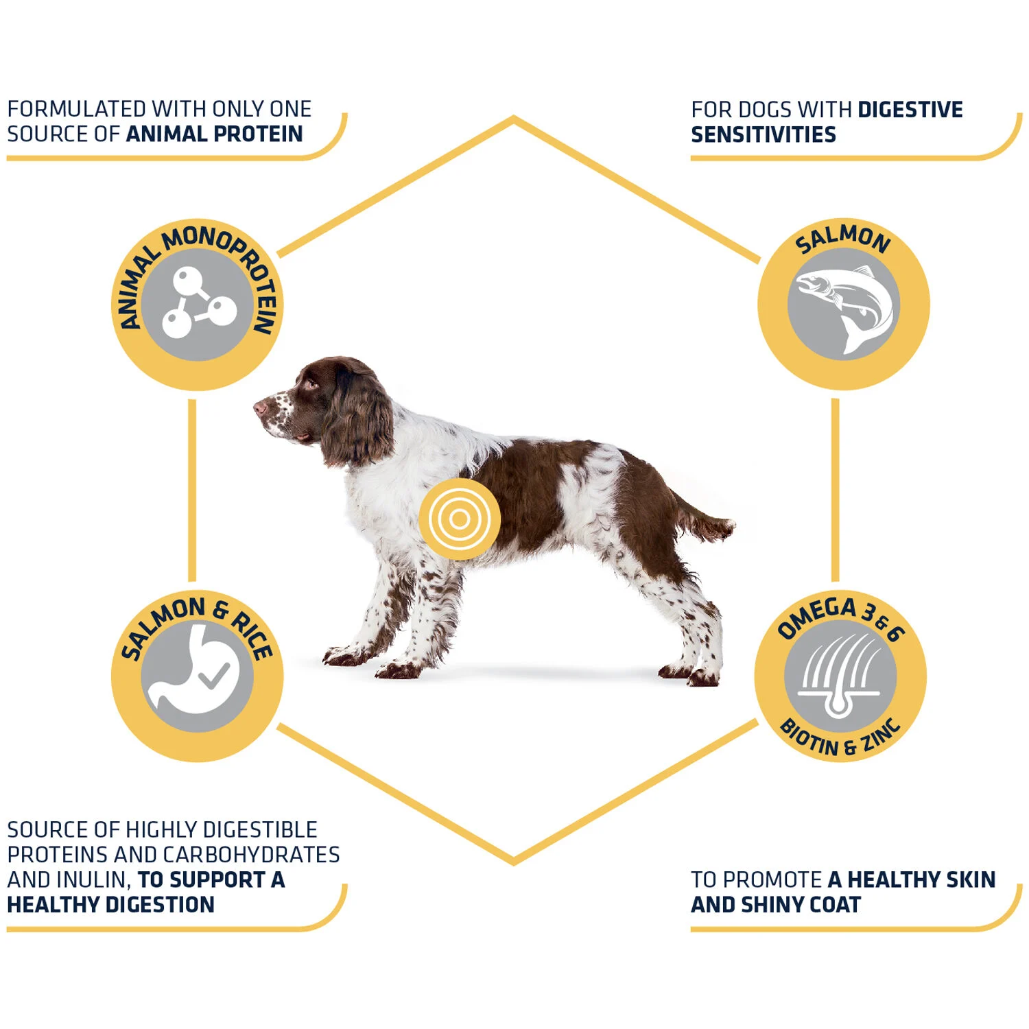 Affinity Advance Sensitive Medium/Maxi - Saumon et riz - Chien - Image 2