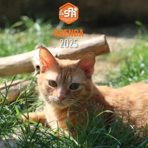 Agenda La SPA