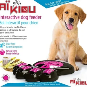 Aïkiou, bol interactif pour chien