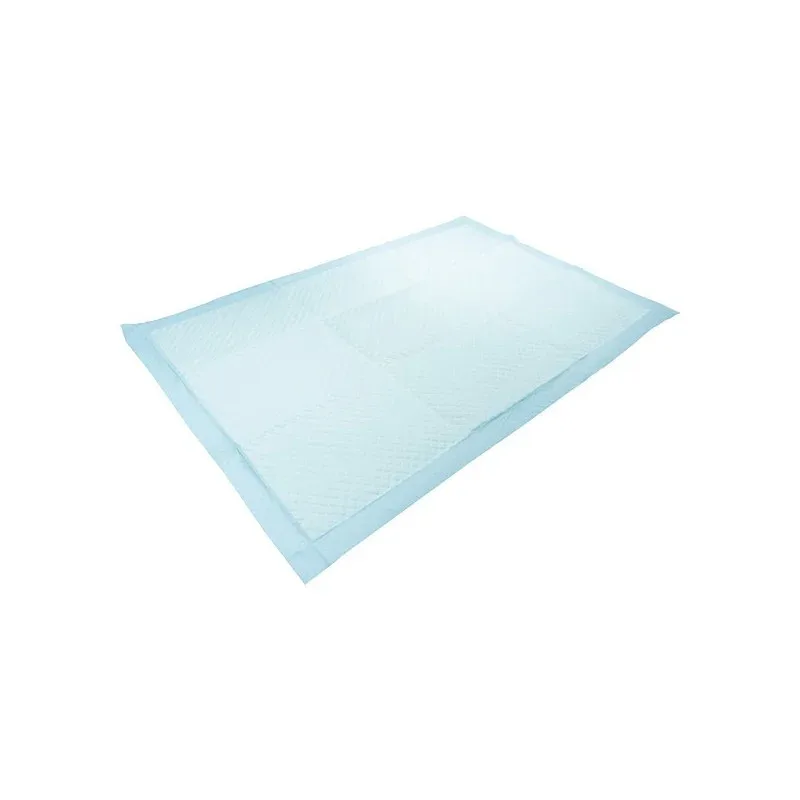 Alèse d’apprentissage de la propreté – Absorbantes