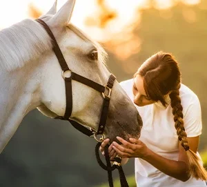 Allergie aux pollens chez les chevaux