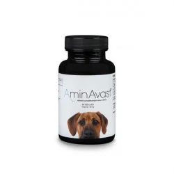 AminAvast