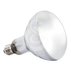 Ampoule Solar Glo UVA/UVB pour reptiles