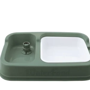 Animalis - Distributeur Eau/Croquettes pour Chien - Vert
