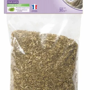 Animalis - Herbe à Chat Catnip 100% Naturelle pour Chat - 30g