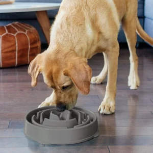Anti-glouton Fun Feeder L