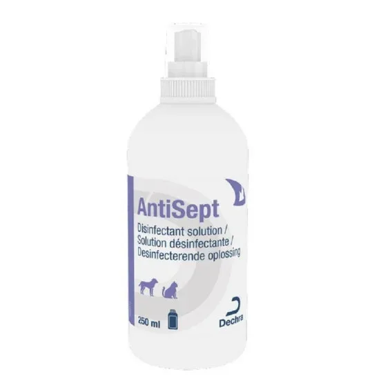 Antisept – placedesvetos.com