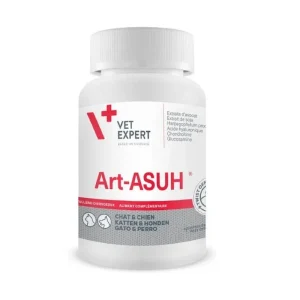 Art Asuh S