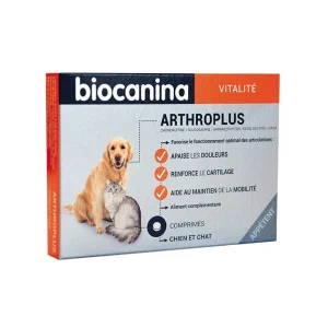 Arthroplus chien, chat