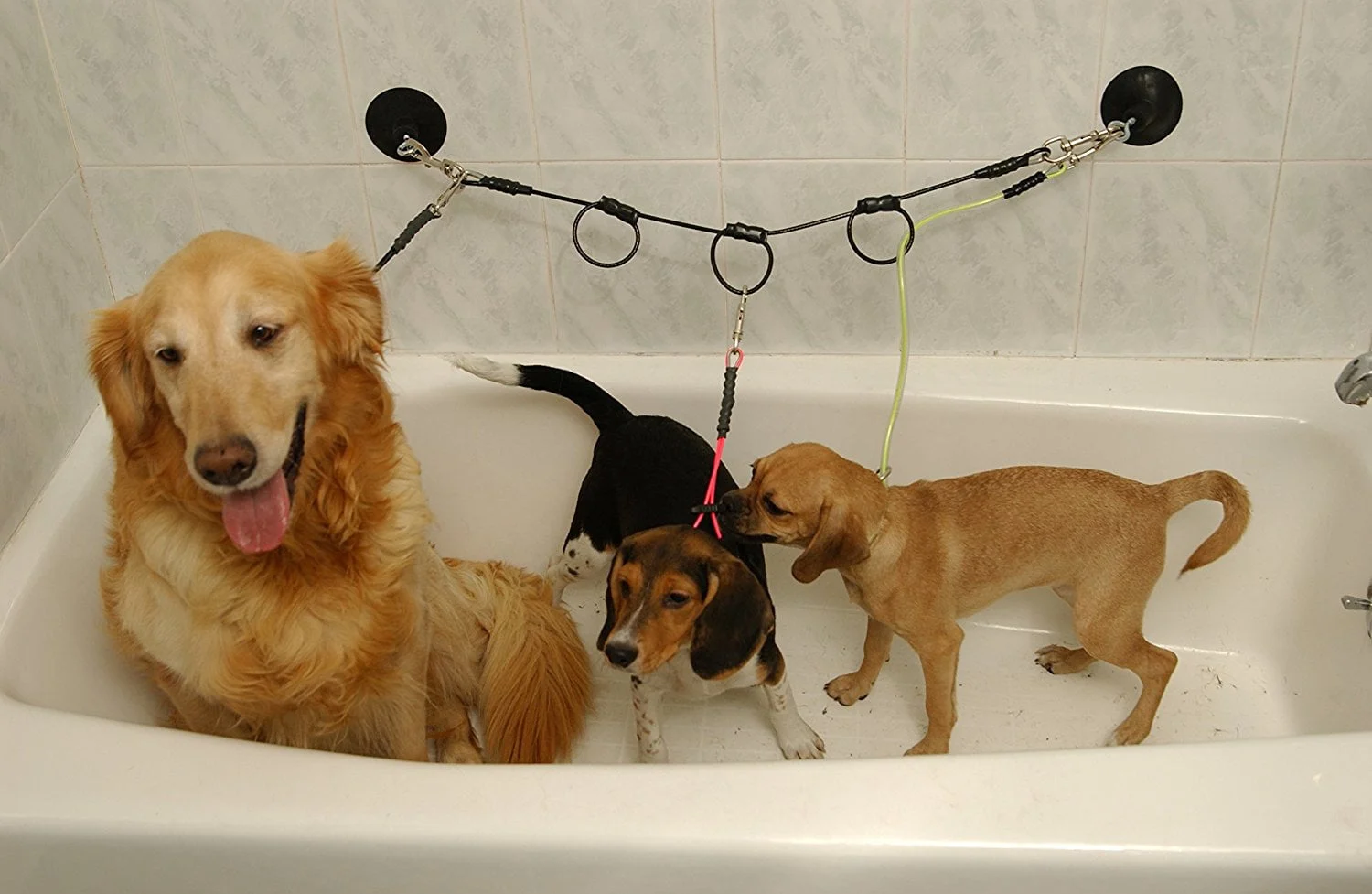 Attache de bain horizontal pour toilettage d’animaux, Proguard - Image 2