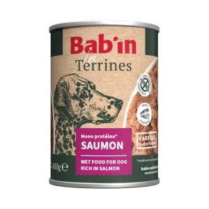 Bab'in - Terrine Adulte Saumon pour Chiens - 400g