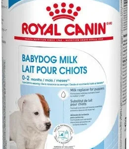 Babydog Lait Chiot