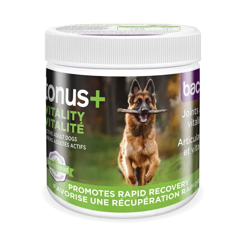 BACI + – tonus + Santé intestinale • vitalité • récupération • articulations pour chien