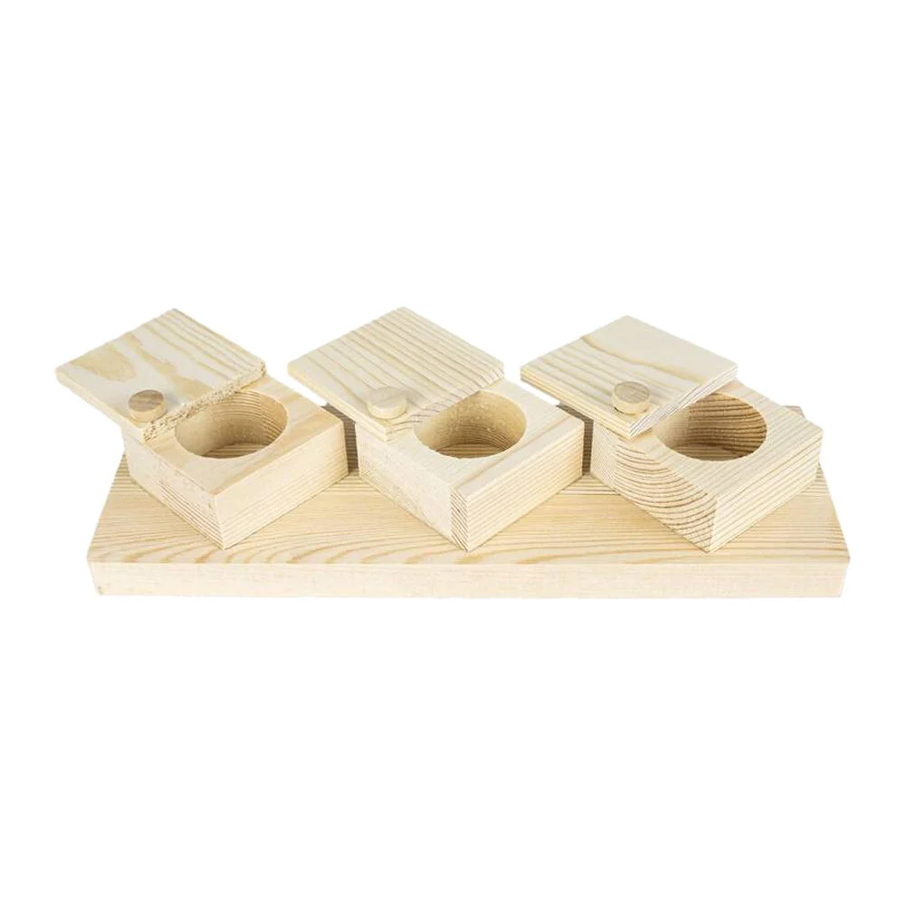 Back Zoo Nature Brain Trainer Cups