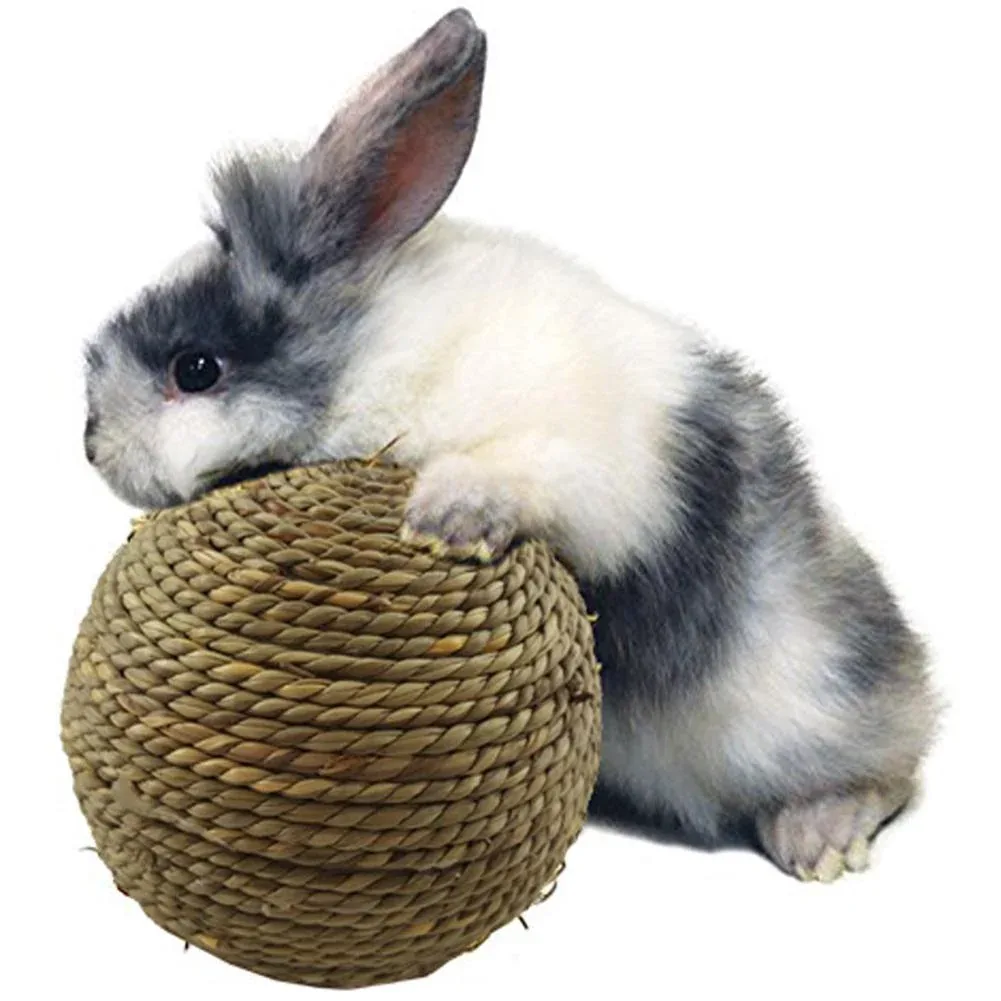 Balle en herbe pour Lapin