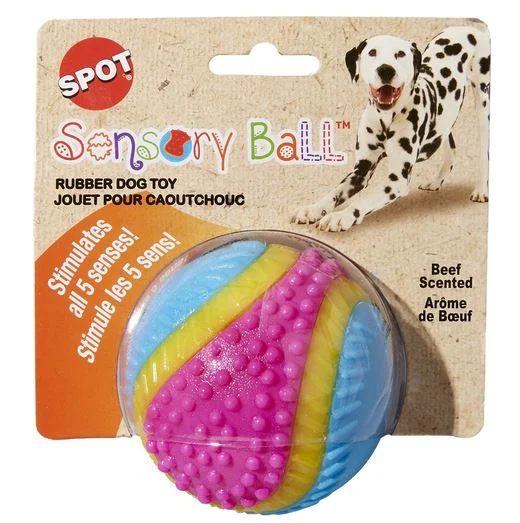 Balle pour chien, sensorielle 5 sens arôme de boeuf, Spot