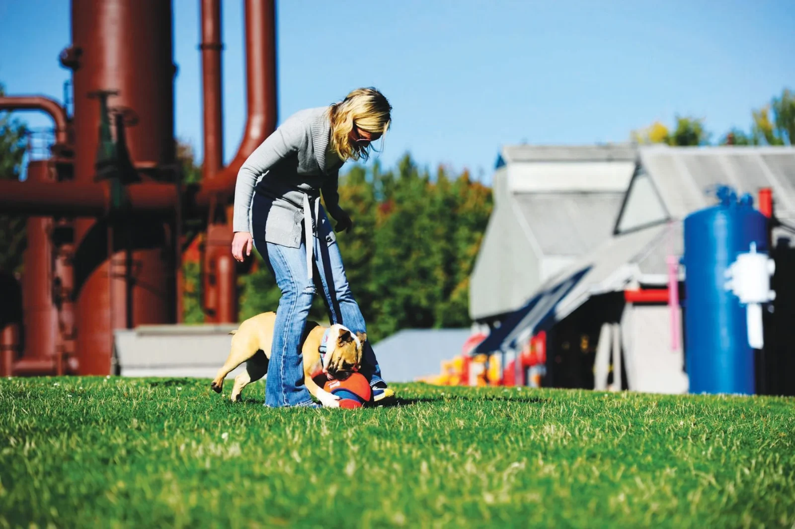 Ballon Kick Fetch - Image 2