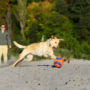 Ballon Kick Fetch