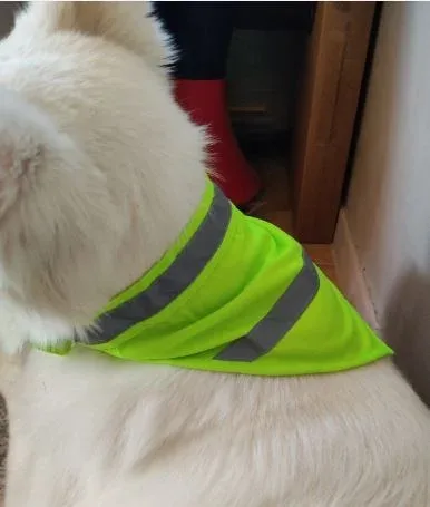 Bandana jaune fluorescent de sécurité pour chien – TM fr