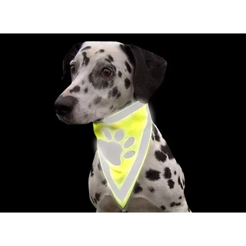 Bandana réfléchissant chien - Image 2