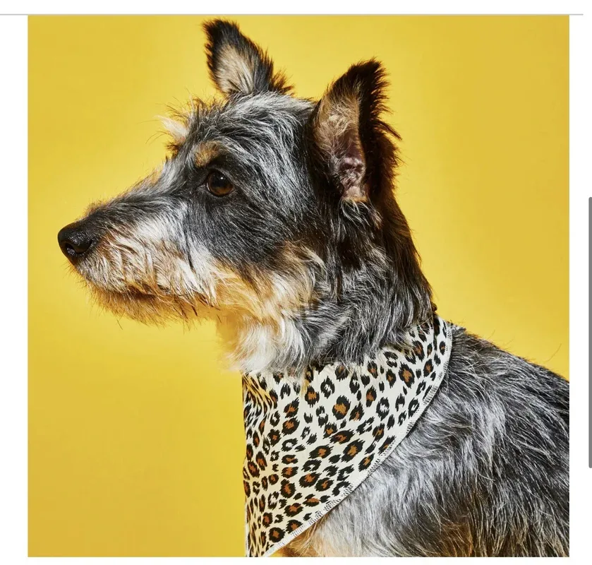 Bandana réversible pour chiens – Léopard/Rayures