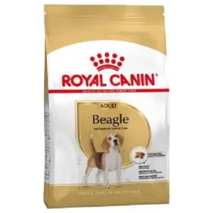 Beagle Adult (3 kg) – Royal Canin J’ai plus de croquettes