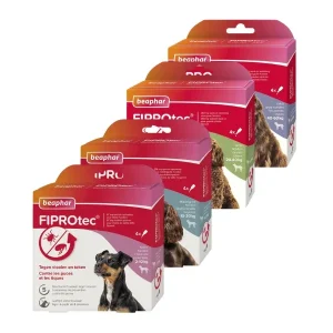Beaphar FIPROtec pipettes antiparasitaires pour chien