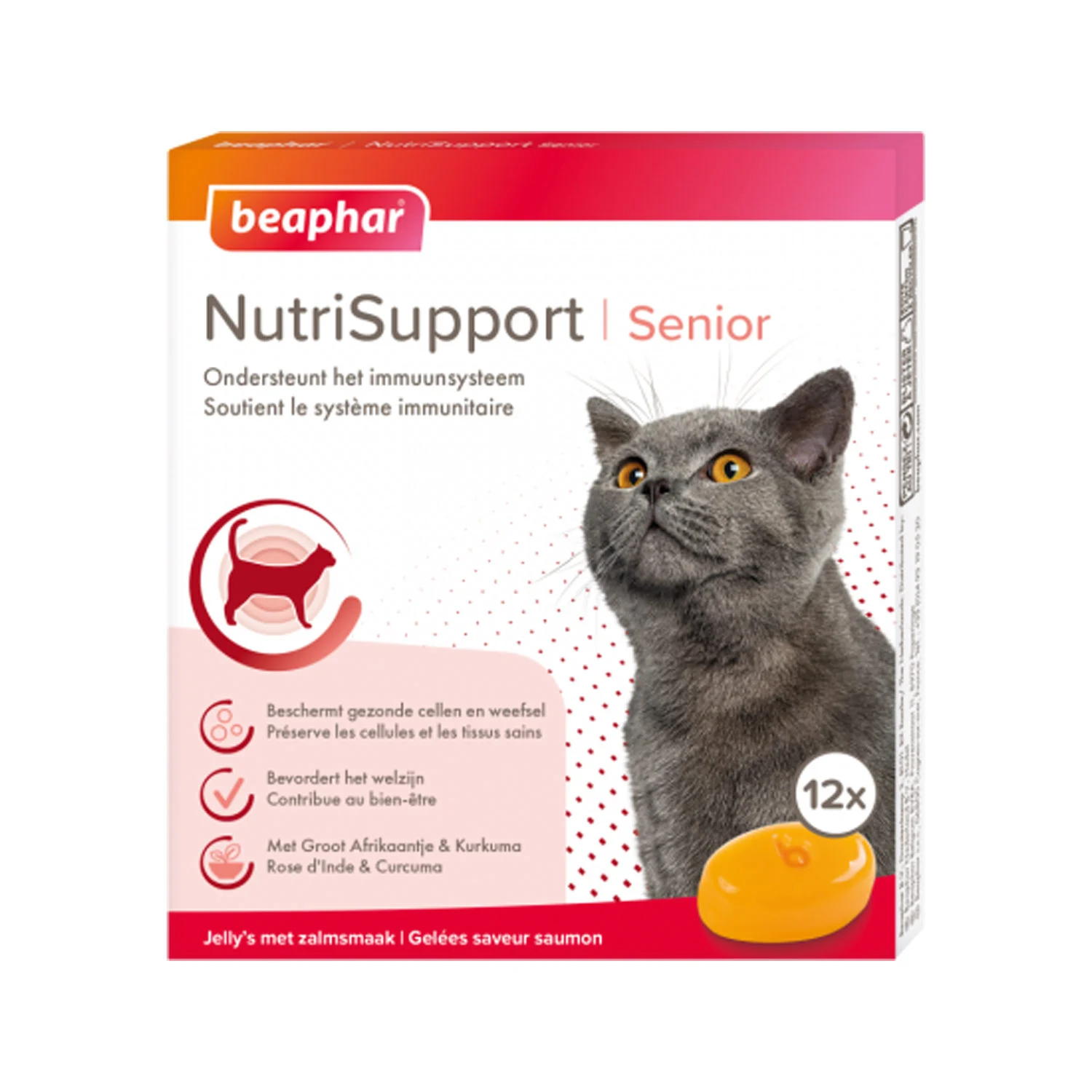 Beaphar NutriSupport Senior Chat