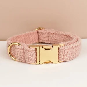 Beau collier chien