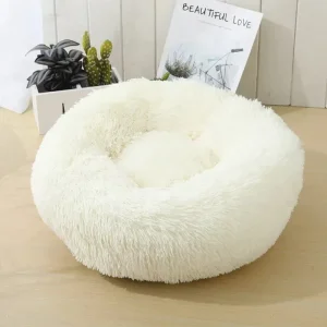 Beau panier pour chien
