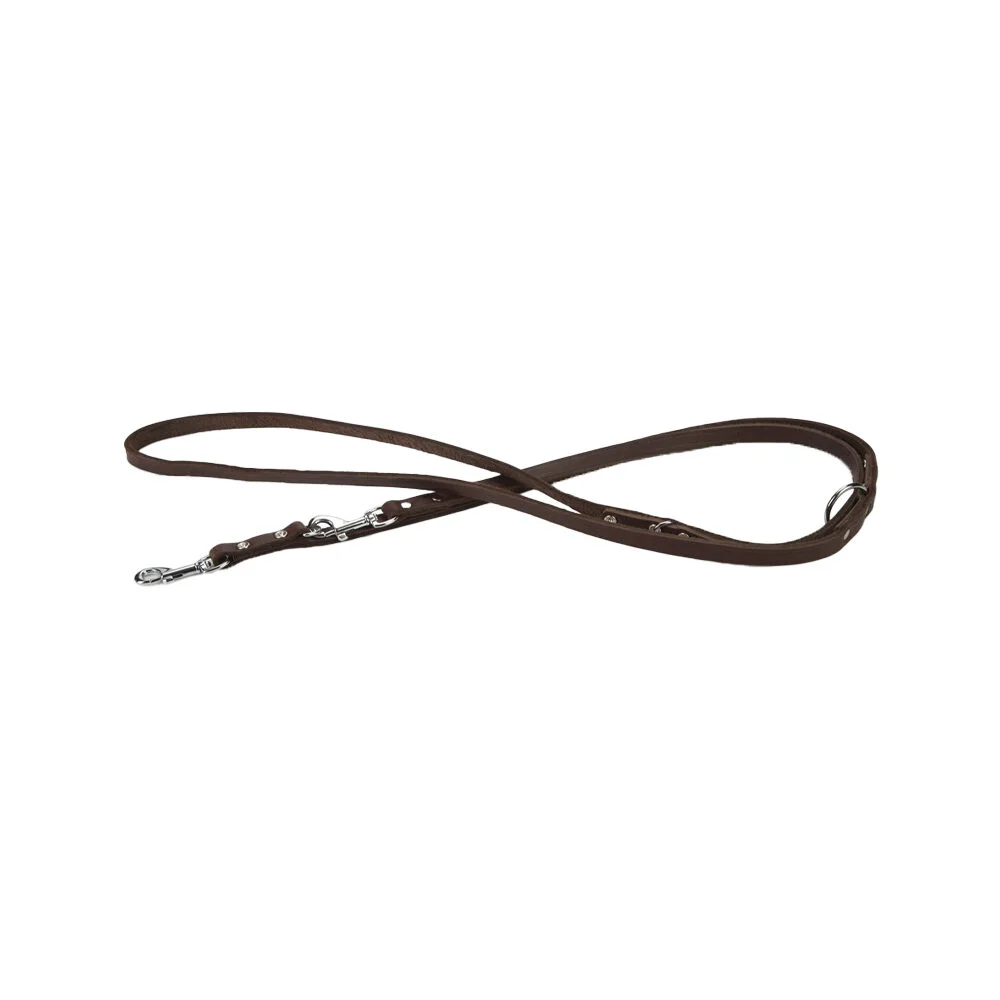 Beeztees Laisse pour chien en cuir