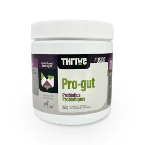 Big Country Raw – Supplément Thrive – Pro-Gut – 150g – Chat et Chien